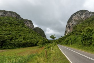 Country road with central reservation in the Vinales Valley, Viñales, Cuba, Pinar del Río, Cuba