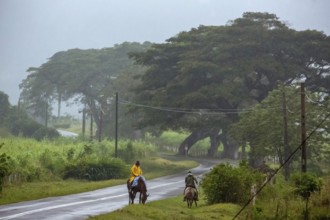 Rider on the rainy country road in Vinales, Viñales, Cuba, Pinar del Río