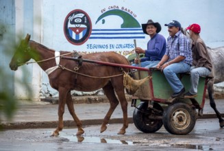 Single carriage, single-span vehicle, Cuban means of transport, Viñales, Cuba, Pinar del Río,
