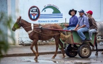 Single carriage, single-span vehicle, Cuban means of transport, Viñales, Cuba, Pinar del Río,