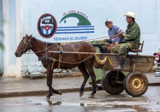 Single carriage, single-span vehicle, Cuban means of transport, Viñales, Cuba, Pinar del Río,
