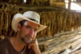 Tobacco farmer, tobacco farmer Luis Manne Alvares Rodrigues on his tobacco farm in the Vinales