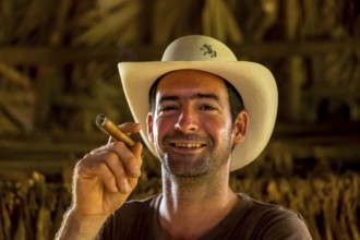 Tobacco farmer, tobacco farmer Luis Manne Alvares Rodrigues smokes a Havana cigar, tobacco farm in