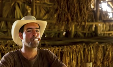 Tobacco farmer, tobacco farmer Luis Manne Alvares Rodrigues smokes a Havana cigar, tobacco farm in