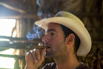 Tobacco farmer, tobacco farmer Luis Manne Alvares Rodrigues smokes a Havana cigar, tobacco farm in