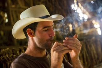 Tobacco farmer, tobacco farmer Luis Manne Alvares Rodrigues lights a Havana cigar, tobacco farm in