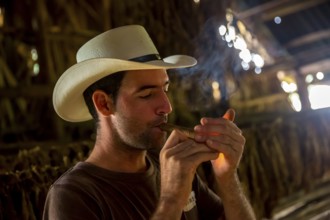 Tobacco farmer, tobacco farmer Luis Manne Alvares Rodrigues lights a Havana cigar, tobacco farm in