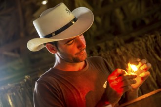 Tobacco farmer, tobacco farmer Luis Manne Alvares Rodrigues lights a Havana cigar, tobacco farm in