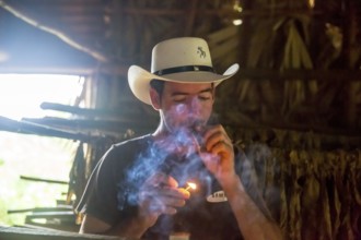 Tobacco farmer, tobacco farmer Luis Manne Alvares Rodrigues lights a Havana cigar, tobacco farm in