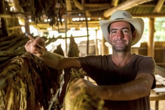 Tobacco farmer, tobacco farmer Luis Manne Alvares Rodrigues smokes a Havana cigar, tobacco farm in