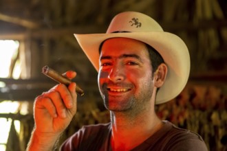 Tobacco farmer, tobacco farmer Luis Manne Alvares Rodrigues smokes a Havana cigar, tobacco farm in