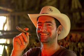 Tobacco farmer, tobacco farmer Luis Manne Alvares Rodrigues smokes a Havana cigar, tobacco farm in