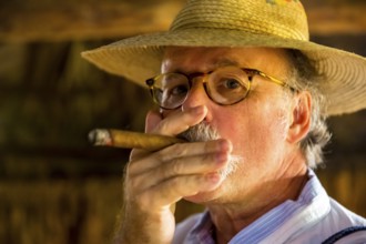Hans Blossey Tourist smokes a Havana cigar, Tobacco farm in the Vinalestal, Viñales, Cuba, Pinar