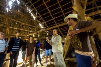 Tobacco farmer Luis Manne Alvares Rodrigues explains tobacco growing to a group of tourists, drying
