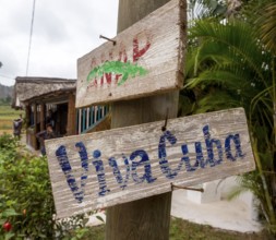 Wooden sign with the inscription Viva Cuba on a telegraph pole, Viñales, Cuba, Pinar del Río, Cuba,