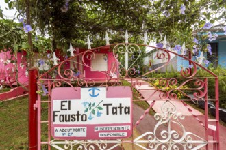 Pink coloured house with stairs, casa particular, private living in Cuba, El Fausto Tata, Viñales,
