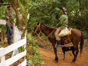 Cuban farmers and riders in dialogue, Viñales, Cuba, Pinar del Río, Cuba, Viñales, Pinar del Río
