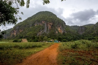 Red earth, finca, farmhouse below the overgrown hills in the Vinales Valley, Viñales, Cuba, Pinar