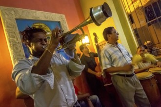 Musician in one of the many music bars and music restaurants in Havana, Havana, La Habana, Cuba,