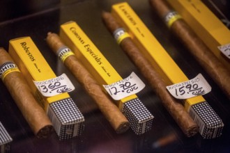 Cohiba cigars in retail sale with individual wrappers, Cuban cigars in the salesroom of a cigar