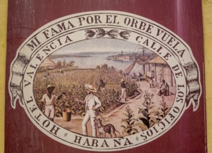 Tobacco poster in front of a Cuban cigar shop, La Habana, Cuba, Caribbean, Central America, Cuba,