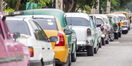 Oldtimer in the street scene, Old American street cruiser on the streets of Havana, Taxi, La
