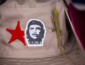 Beige cap with red Soviet star and gecko (Gekkonidae) and Ernesto Che Guevara sticker, La Habana,