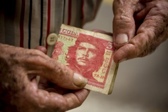 Old Cuban man holding a three peso banknote with the portrait of Ernesto Che Guevara in his hand,