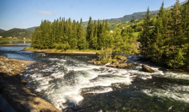 Fjord near the city of Bergen, small island, spruces, rapids, large stones, blue sky, Hordaland,