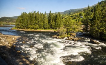 Fjord near the city of Bergen, small island, spruces, rapids, large stones, blue sky, Hordaland,