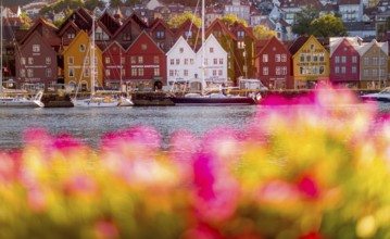 Colourful row of houses in the harbour of the city of Bergen, sailing ships, Hordaland, Norway,