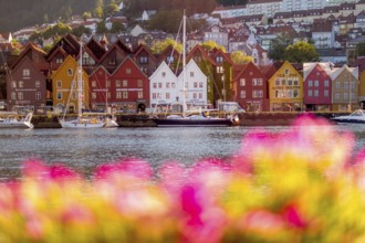 Colourful row of houses in the harbour of the city of Bergen, sailing ships, Hordaland, Norway,