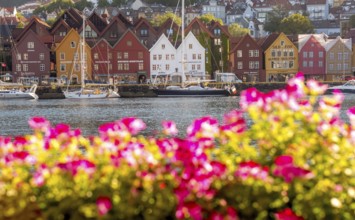 Colourful row of houses in the harbour of the city of Bergen, sailing ships, Hordaland, Norway,
