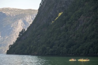 Tourists in yellow kayaks, fjord, Nærøyfjorden, rock face with forest, Styvi, Sogn og Fjordane,
