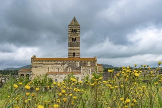 Sardinia, Santissima TrinitÃƒÂ di Saccargia, Romanesque church, flower meadow, Codrongianos,