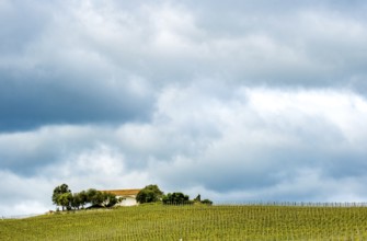Sardinia, Azienda Vitivinicola, winery and vineyards, blue sky, Coddu Vecchiu, Arzachena, Europe,