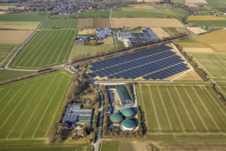 Aerial view, solar park photovoltaic plant Sternweg, grazing sheep, Hattrop, Soest, Soester Börde,