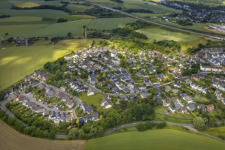 Aerial view, residential area housing estate with plant names streets like Diestelbusch and