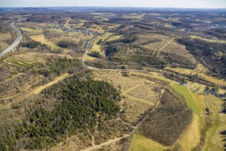 Aerial photo, forest area with forest damage Sankt-Helenen-Straße on the A4 motorway, Gerlingen,