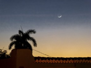 The new moon over Trinidad with palm trees, Trinidad, Cuba, Sancti Spíritus, Cuba
