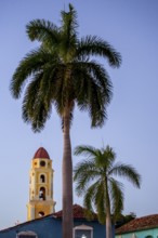 Church Convento de San Francisco de Asis of Trinidad with palm trees in the blue hour, Trinidad,