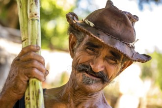Sugar cane farmer in the Valle de los Ingenios with sugar cane stalks, Trinidad, Cuba, Sancti