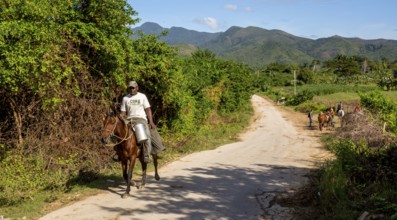 Cuban rider on a horse with a milk can in Valle de los Ingenios, Trinidad, Cuba, Sancti Spíritus,