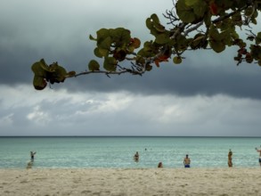 On the tourist beach of Varadero Hotel PARADISUS VARADERO RESORT SPA, Caribbean, Varadero, Cuba,