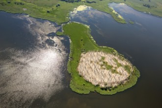 Gardzka KÄ™pa peninsula, PoÅ'chowo, Dusin, Baltic Sea coast, Województwo zachodniopomorskie,