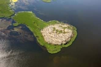 Gardzka KÄ™pa peninsula, PoÅ'chowo, Dusin, Baltic Sea coast, Województwo zachodniopomorskie,