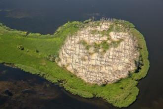 Gardzka KÄ™pa peninsula, PoÅ'chowo, Dusin, Baltic Sea coast, Województwo zachodniopomorskie,