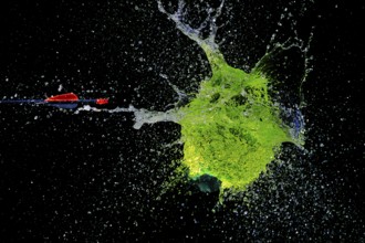 A green water balloon bursts powerfully under the impact of an arrow, against a dark background,