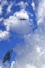 A helicopter transports a tree through a cloudy sky, transport helicopter, timber transport, Saas