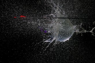 An arrow pierces a water balloon and creates a spectacular water spray explosion against a black